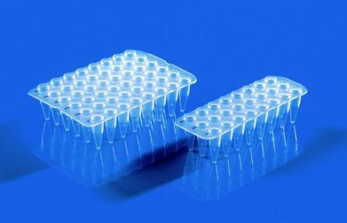 24 / 48 well PCR destičky, non-skirted, PP, pro qPCR