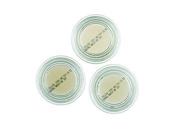 Microsart® Media, prefille dishes