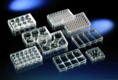 nádobí, Nunc™ cell culture treated surface, PS, sterilní