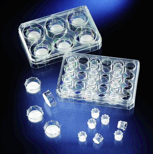 Cell Culture Inserts a Carrier destičky, PC, sterilní