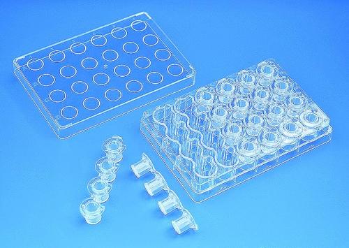 BRANDplates® Insert systém, 6-well destičky filled s 6 Insert Strips