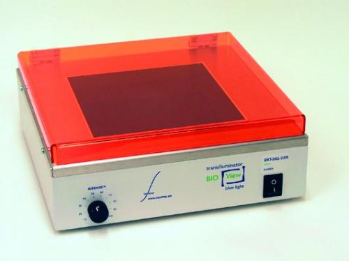 Blue-LED-Transilluminator
