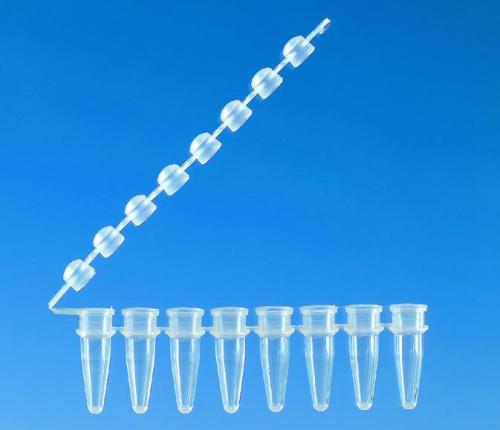 Strips of 8 PCR zkumavky s attached cap strips